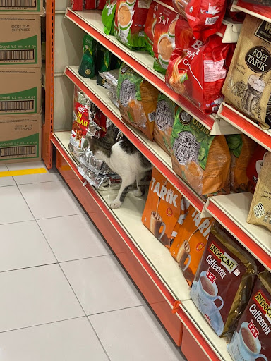 99 Speedmart 3227 (NS) Taman Lukut Makmur 99 Speedmart 3227 (NS) Taman Lukut Makmur