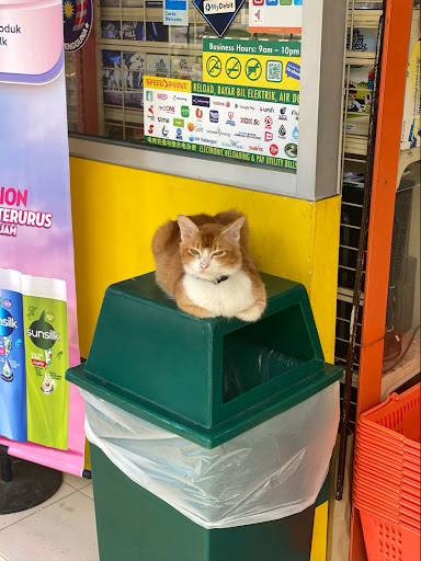 99 Speedmart 3124 (JH) Taman Putrimas